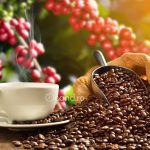 Cand a fost descoperita cafeaua, cea mai consumata bautura din lume