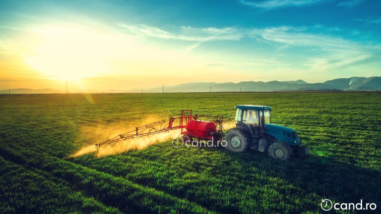 Cand trebuie aplicate tratamentele agricole, dimineata sau seara? 